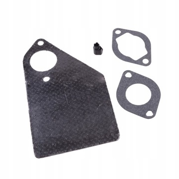 Zestaw gaźnika do Briggs Stratton 5-4993 799728