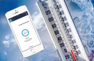 TempSensor 5V BLEBOX WiFi с зондом длиной 2 м