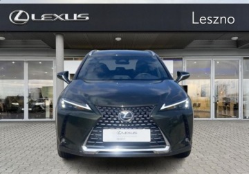 Lexus UX Crossover Facelifting 2.0 300h 199KM 2024 Lexus UX 300h Business Edition Tech VAT 23 Salon PL ASO Lexus Leszno, zdjęcie 6