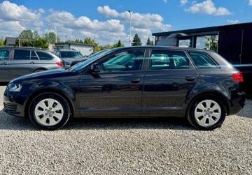 Audi A3 8P Hatchback 3d 1.6 102KM 2008 Audi A3 Sportback 1.6 MPI 102KM skory PDC cliamtronic tempoamt alu grzane, zdjęcie 6