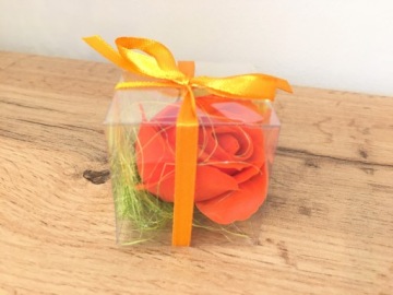 ВАШИНГТОНСКИЙ ЦВЕТОК в коробке подарок спасибо