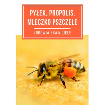 Broszura 