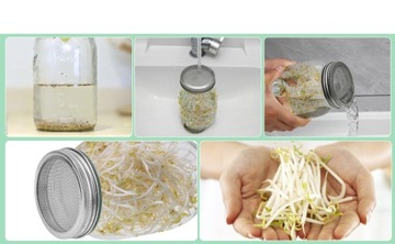 Набор для проращивания Контейнер для семян и ростков емкостью 1000 мл.