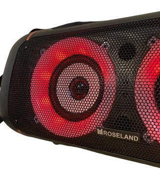 Динамик RS-501 Roseland 20 Вт черный + микрофон