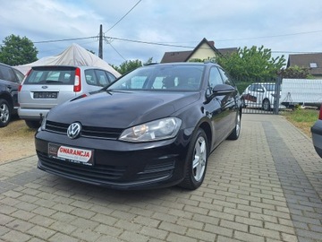 Volkswagen Golf VII Variant 1.2 TSI BlueMotion Technology 85KM 2014 Volkswagen Golf Klimatronik Serwisowany, zdjęcie 1