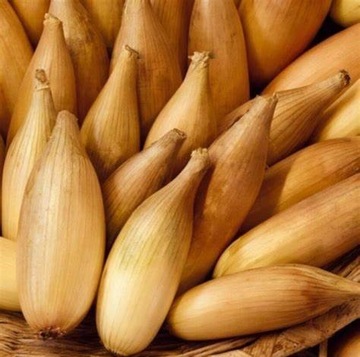Cebula dymka Sopelek 500g