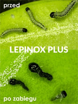 LEPINOX PLUS 3x10G ПИТОМНИК САМШИТОЧНОЙ СОЛИ