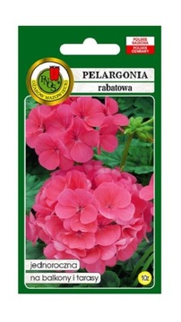 Pelargonia rabatowa F1 różowa 10z PNOS