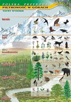 Biologia POMOCE plansz ZOOLOGIA piętrowość w góry