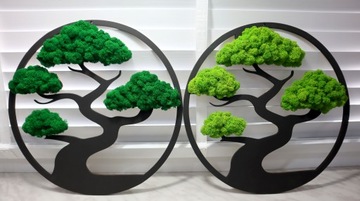 Бонсай древесный мох Премиум изображение 60 см