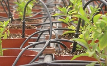 WĄŻ DO WODY ZESTAW DO KROPELKOWEGO NAWADNIANIA NA ZRASZACZ OGRODOWY 20m