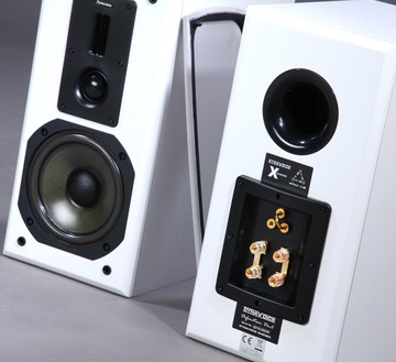 DYNAVOICE DM-6 BIAŁE SZWEDZKIE CUDA + EXTRA STANDY