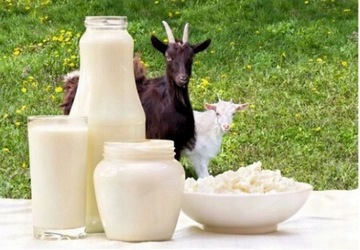 ZIAJA GOAT MILK УЛЬТРАЛЕГКИЙ АНТИВОЗРАСТНОЙ КРЕМ SPF15