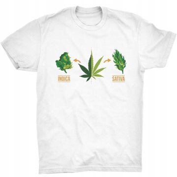 Indica Sativa Koszulka Marihuana Cannabis Zioło