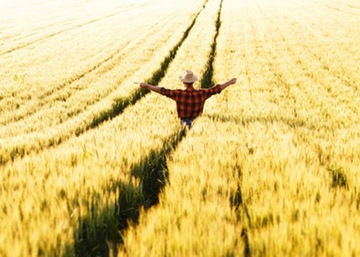 Глифосат Halvetic 180SL 5л для борьбы с сорняками пырея