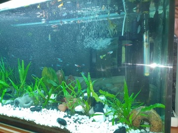 ТАССОС ГРИС 8-16мм 5кг СНЕЖНО-БЕЛЫЙ GLITTER GARDEN