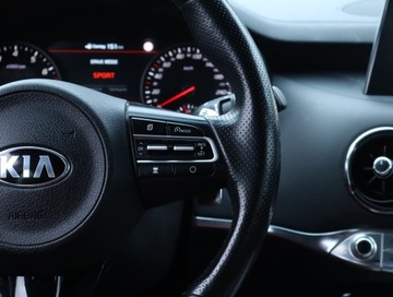 Kia Stinger 2019 Kia Stinger 2.0 T-GDI, Salon Polska, Serwis ASO, zdjęcie 21