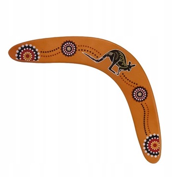 1pc Profesjonalne bumerang Racer Boomerang