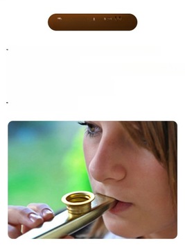 МУЗЫКАЛЬНЫЕ ИНСТРУМЕНТЫ KAZOO ИЗ МАССИВА ДЕРЕВА