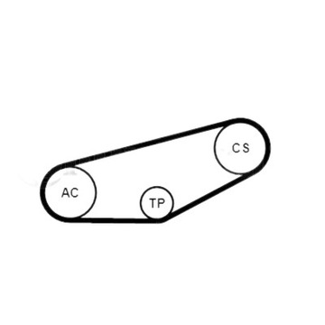 CONTINENTAL 4PK855K1 КОМПЛЕКТ РЕМНЯ КЛИНОВИДНЫЙ T2B125 