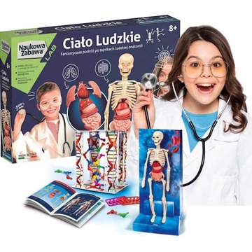 ZESTAW CIAŁO LUDZKIE CLEMENTONI NAUKA I ZABAWA