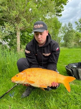 ЦИТРУСОВЫЕ 0,5 КГ - ПРОТЕИНОВЫЕ ШАРИКИ 16 ММ RAFISH VIP