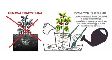 Opaski Doniczki Cylindry Spinane 8x9_10 SZT.