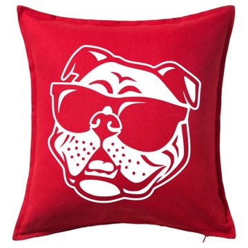 BULDOG ANGIELSKI OKULARY PIES DOG poduszka prezent