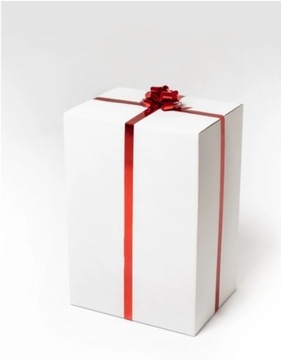 БОЛЬШОЙ МЕДВЕДЬ ПИНГВИН 40см