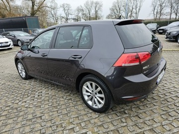 Volkswagen Golf VII Hatchback 3d 1.4 TSI BlueMotion Technology 125KM 2015 Volkswagen Golf 1,4 benzyna 125KM nawigacja kamera, zdjęcie 2