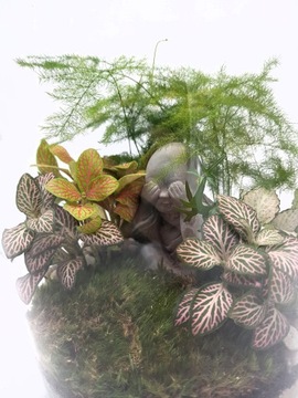 Лес в банке, лес в стекле + ФИГУРКА БУДДА, ХИТ своими руками