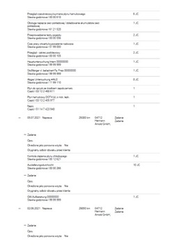 История обслуживания BMW VIN, дилерский пробег, PDF, 7 дней/7