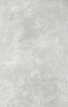 PŁYTA GRESOWA SPIRIT 60X90/ 2CM silver