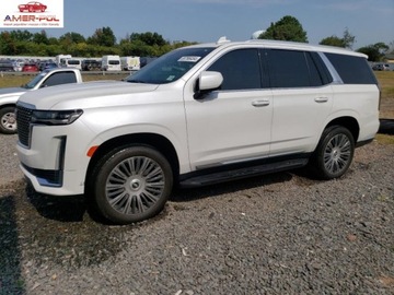 Cadillac Escalade III 2021 Cadillac Escalade Premium Luxury 2021 6.2l 6.2 Benzyna 420KM