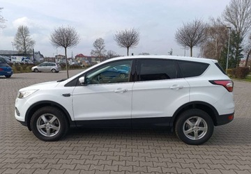 Ford Kuga II SUV Facelifting 1.5 EcoBoost 120KM 2017 Ford Kuga Przebieg 51.000 km - silnik 1,5 - 120 KM 1.5 Benzyna 120KM, zdjęcie 7