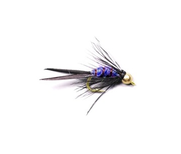Sztuczne muchy #12 Hydropsyche Prince Nymph /098