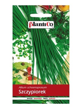 PlantiCo Szczypiorek ogrodowy