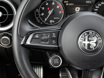 Alfa Romeo Stelvio SUV Facelifting 2.0 Turbo 200KM 2021 Alfa Romeo Stelvio WD4400S#2.0 Turbo TI Q4, zdjęcie 15