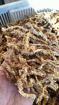 Mech Sphagnum Mech Torfowiec 5l