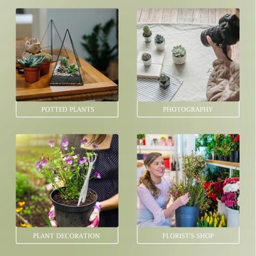 Растения Бонсай Пинцет Лопатка Портативная