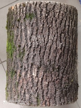 ASH STAMP ASH STAMP ОЧЕНЬ ЖЕСТКИЙ ЗДОРОВЫЙ БОЛЬШОЙ 40-48