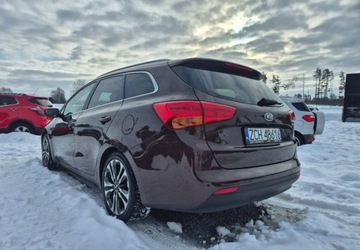 Kia Ceed II Kombi 1.6 GDI 135KM 2014 Kia Ceed 1,6 135 KM Business Line Zarejestrowany w PL 1.6 Benzyna, zdjęcie 29