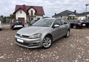 Volkswagen Golf VII Variant 1.6 TDI CR DPF BlueMotion Technology 105KM 2014 Volkswagen Golf 1.6D 105KM przeb.186tys ksiazka xenon zarejestrowany 1.6, zdjęcie 14