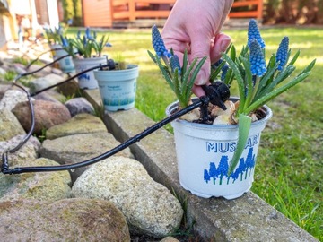 Kaltmann ЦИФРОВЫЕ ЧАСЫ + Ирригация Ирригационный комплект Ирригационная система