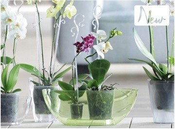 Декор Подставка для цветов Орхидея, прозрачная