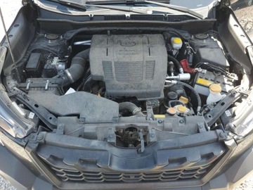 Subaru Forester V 2023 Subaru Forester Wilderness 2023 2.5l 2.5 Benzyna 182KM, zdjęcie 6