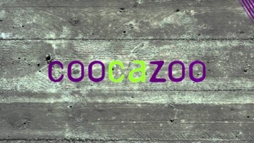 Молодежный школьный рюкзак Coocazoo EvverClevver 129951