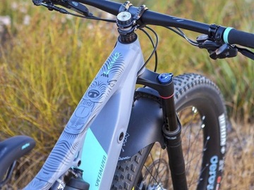 Велосипедные наклейки MTB AMS - чистый волк