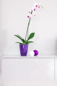 Крышка для цветочного горшка ПП ORCHID Круглая БЕЖЕВАЯ 14 см