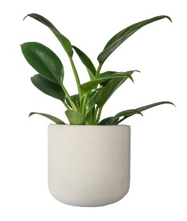 Doniczka betonowa 12cm barwiona biała